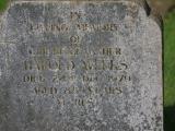 image of grave number 719162